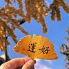 ～ 敲击岁月～